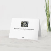 Eis-Blumen Karte (Rückseite)