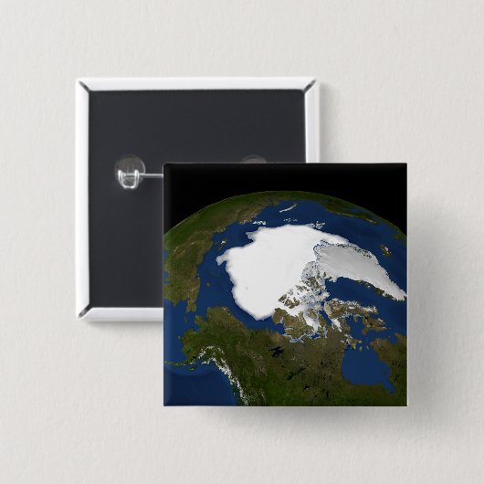 Eis im arktischen Meer 2005 Button (Vorne & Hinten)