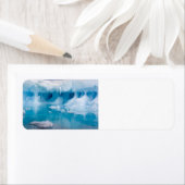 Eis in der Antarktis (Insitu)