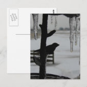 Eis ist für Vögel Postkarte (Vorne/Hinten)