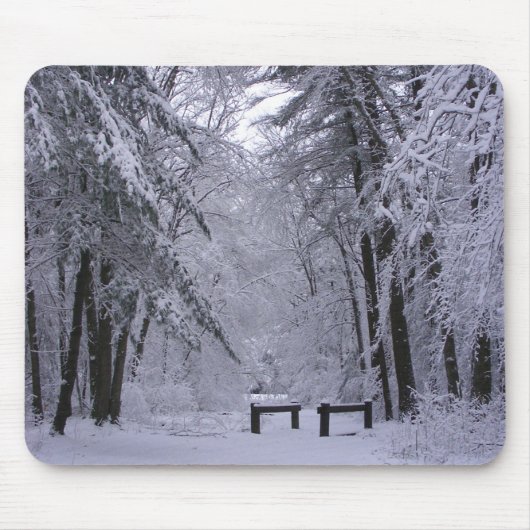 Eis-Kathedrale 2 ~ mousepad (Vorne)