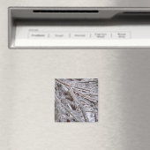 Eis Magnet (In Situ (Geschirrspüler))