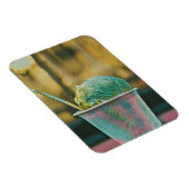 Eis-Rezept Magnet (Rechte Seite)