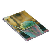 Eis-Rezept Notizblock (Rechte Seite)