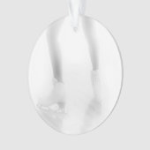 Eis-Skaten Ornament (Vorderseite)