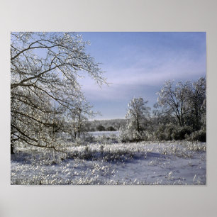 Eis-Sturm glasiert einen Wald Poster