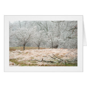Eis-Sturm ländliches Tennessee - Fotografie
