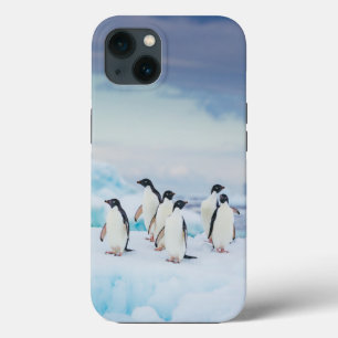 Eis und Schnee Adelie Penguins Antarktis Case-Mate iPhone Hülle