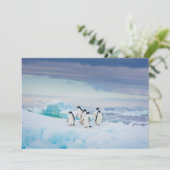 Eis und Schnee | Adelie Penguins Antarktis Dankeskarte (Stehend Vorderseite)