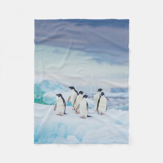Eis und Schnee | Adelie Penguins Antarktis Fleecedecke (Vorderseite)