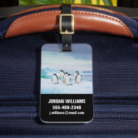 Eis und Schnee | Adelie Penguins Antarktis