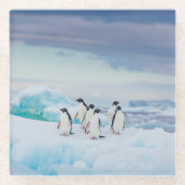 Eis und Schnee | Adelie Penguins Antarktis Glasuntersetzer (Vorderseite)
