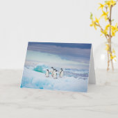 Eis und Schnee | Adelie Penguins Antarktis Karte (Gelbe Blume)