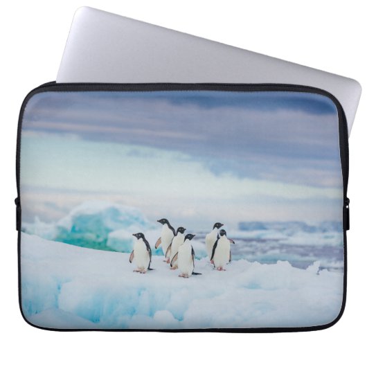 Eis und Schnee | Adelie Penguins Antarktis Laptopschutzhülle (Vorderseite)