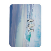 Eis und Schnee | Adelie Penguins Antarktis Magnet (Vertikal)