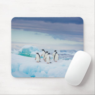 Eis und Schnee   Adelie Penguins Antarktis Mousepad
