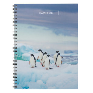 Eis und Schnee Adelie Penguins Antarktis Notizblock
