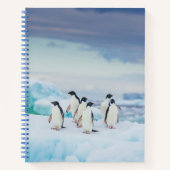 Eis und Schnee | Adelie Penguins Antarktis Notizblock (Vorderseite)