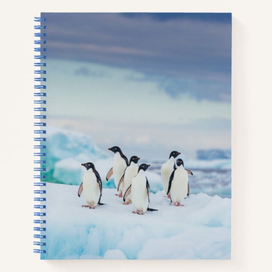 Eis und Schnee | Adelie Penguins Antarktis Notizblock (Vorderseite)