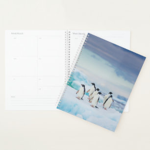 Eis und Schnee Adelie Penguins Antarktis Planer