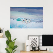 Eis und Schnee | Adelie Penguins Antarktis Poster (Heimbüro)