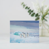 Eis und Schnee | Adelie Penguins Antarktis Postkarte (Stehend Vorderseite)