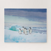 Eis und Schnee | Adelie Penguins Antarktis Puzzle (Horizontal)