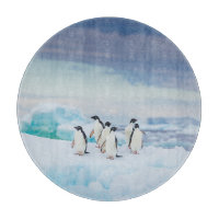 Eis und Schnee | Adelie Penguins Antarktis