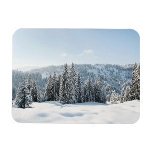 Eis und Schnee   Allgäu Bayern Deutschland Magnet