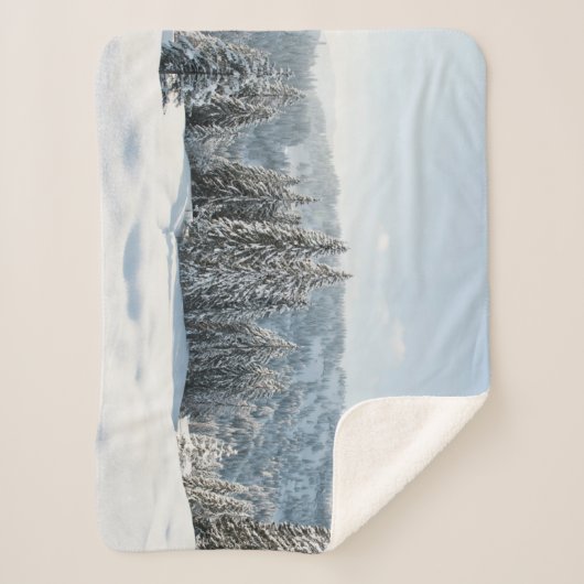 Eis und Schnee | Allgäu Bayern Deutschland Sherpadecke (Vorderseite)