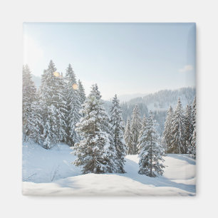 Eis und Schnee   Allgäu Bayern Süddeutschland Magnet