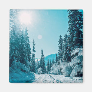 Eis und Schnee Altai Nature Reserve, Russland Magnet