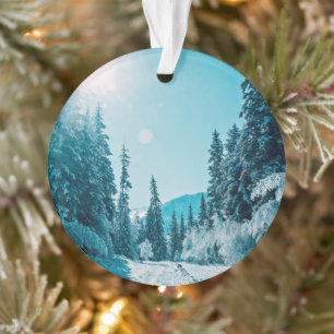 Eis und Schnee   Altai Nature Reserve, Russland Ornament