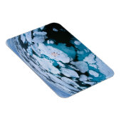 Eis und Schnee | Eisbär, arktischer Ozean, Svalbar Magnet (Rechte Seite)