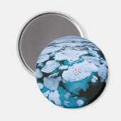 Eis und Schnee | Eisbär, arktischer Ozean, Svalbar Magnet (Vorderseite/Rückseite)