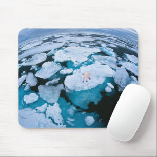 Eis und Schnee   Eisbär, arktischer Ozean, Svalbar Mousepad