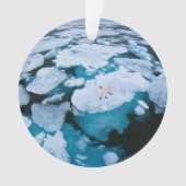 Eis und Schnee | Eisbär, arktischer Ozean, Svalbar Ornament (Vorderseite)