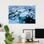 Eis und Schnee | Eisbär, arktischer Ozean, Svalbar Poster (Heimbüro)