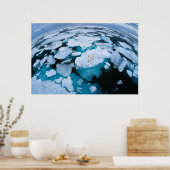 Eis und Schnee | Eisbär, arktischer Ozean, Svalbar Poster (Küche)