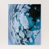 Eis und Schnee | Eisbär, arktischer Ozean, Svalbar Puzzle (Vertikal)