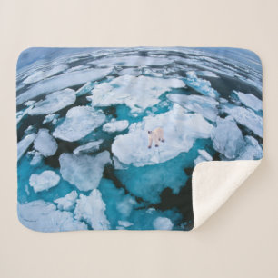 Eis und Schnee Eisbär, arktischer Ozean, Svalbar Sherpadecke