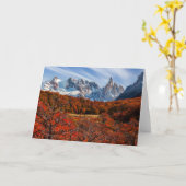 Eis und Schnee | El Chalten, Argentinien Patagonia Karte (Gelbe Blume)