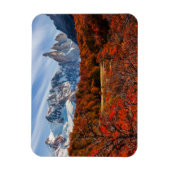 Eis und Schnee | El Chalten, Argentinien Patagonia Magnet (Vertikal)