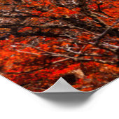 Eis und Schnee | El Chalten, Argentinien Patagonia Poster (Ecke)