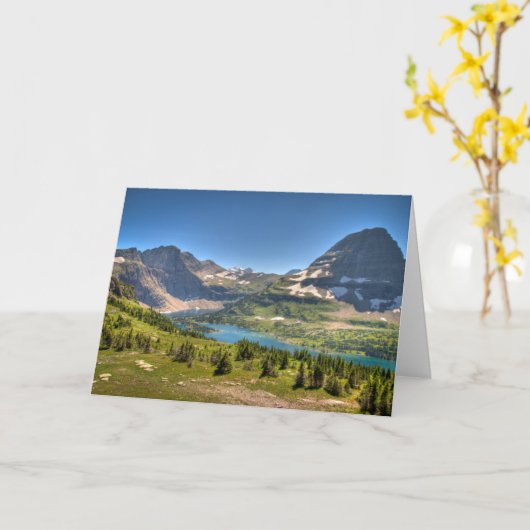 Eis und Schnee | Glacier National Park, Montana Karte (Gelbe Blume)