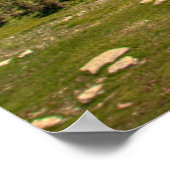 Eis und Schnee | Glacier National Park, Montana Poster (Ecke)