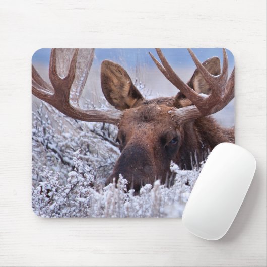 Eis und Schnee | Grand Teton National Park, Wyomin Mousepad (Mit Mouse)
