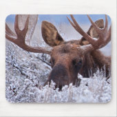Eis und Schnee | Grand Teton National Park, Wyomin Mousepad (Vorne)