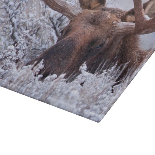 Eis und Schnee | Grand Teton National Park, Wyomin Schneidebrett (Ecke)