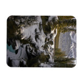 Eis und Schnee | Jasper National Park Alberta, Kan Magnet (Horizontal)